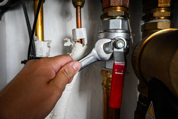 Best Plumbing Repair Near Me  in White Bear Lake, MN